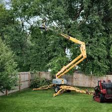 Avonmore, PA Tree Care Company